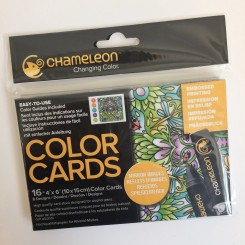 Chameleon Color Cards - Mirror Images