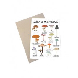 Mouse & Pen kort A6 - World of Mushrooms