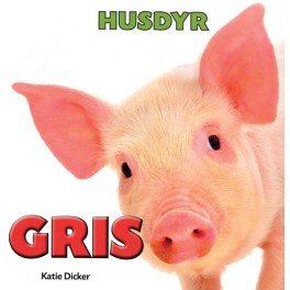 Husdyr - Gris