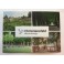Postkort - Christiansfeld - Grøn