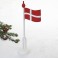 Flagstang, med dansk flag, træ, 37cm, 1 stk.
