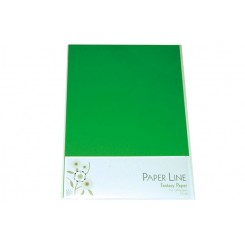 Paper line karton A4, 180g, Grøn
