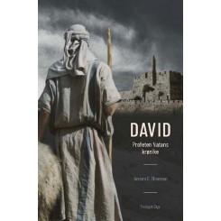 David – profeten Natans krønike