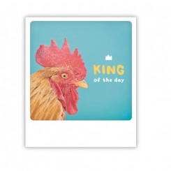 Polaroid kort, KING OF THE DAY