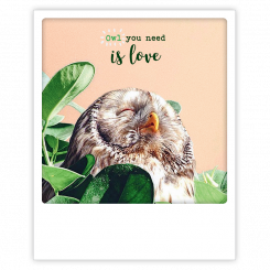 Polaroid kort, OWL YOU NEED IS LOVE