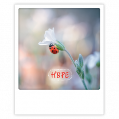 Polaroid kort, HOPE