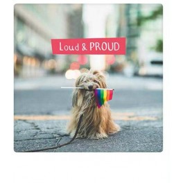 Polaroid kort, LOUD AND PROUD