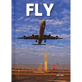 Læs her: Fly