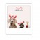 Polaroid kort, NAUGHTY LITTLE CHRISTMAS