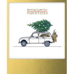 Polaroid kort, DRIVING HOME FOR CHRISTMAS