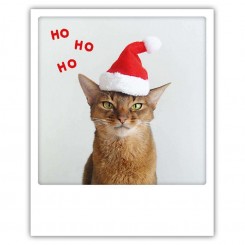 Polaroid kort, HOHOHO CAT
