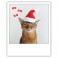 Polaroid kort, HOHOHO CAT