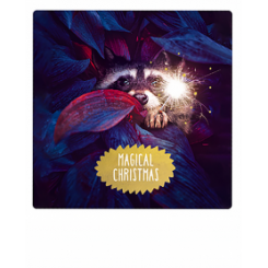 Polaroid kort, MAGICAL CHRISTMAS