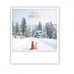 Polaroid kort, MERRY CHRISTMAS DOGS