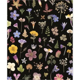 Museums & Galleries dobbeltkort, Wild Press, Flower Meadow