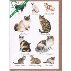 Clanna Cards dobbeltkort, Cats