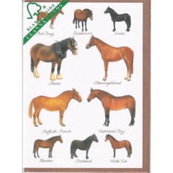 Clanna Cards dobbeltkort, Horse Breeds