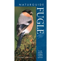 Naturguide Fugle