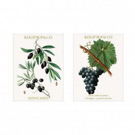 Minikort, Efterår, Oliven og druer
