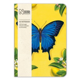 Notesbog, Natural History Museum, Ulysses Butterfly, A5