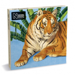 Natural History Museum Tiger & Leopard kortmappe med 8 dobbeltkort inkl. kuvert