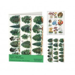 Museums & galleries British Trees and Types of Mushrooms kortmappe med 8 dobbeltkort inkl. kuvert