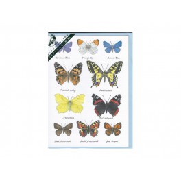 Clanna Cards dobbeltkort, Butterflies