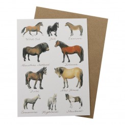 Clanna Cards dobbeltkort, Ponies