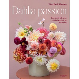 Dahlia passion